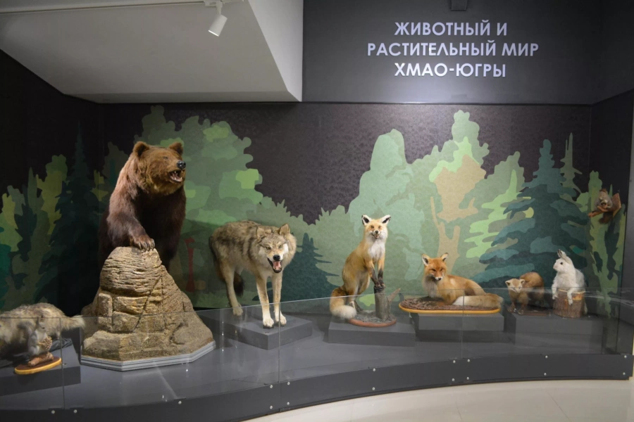«Урай - история и современность»