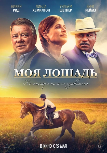 Моя лошадь