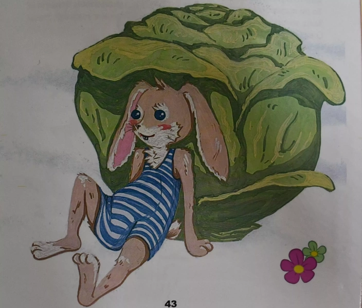 «Книжная графика»
