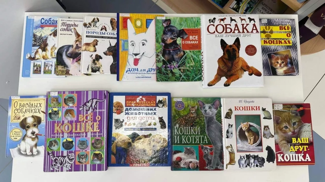 Книжная выставка «Самые читаемые книги»