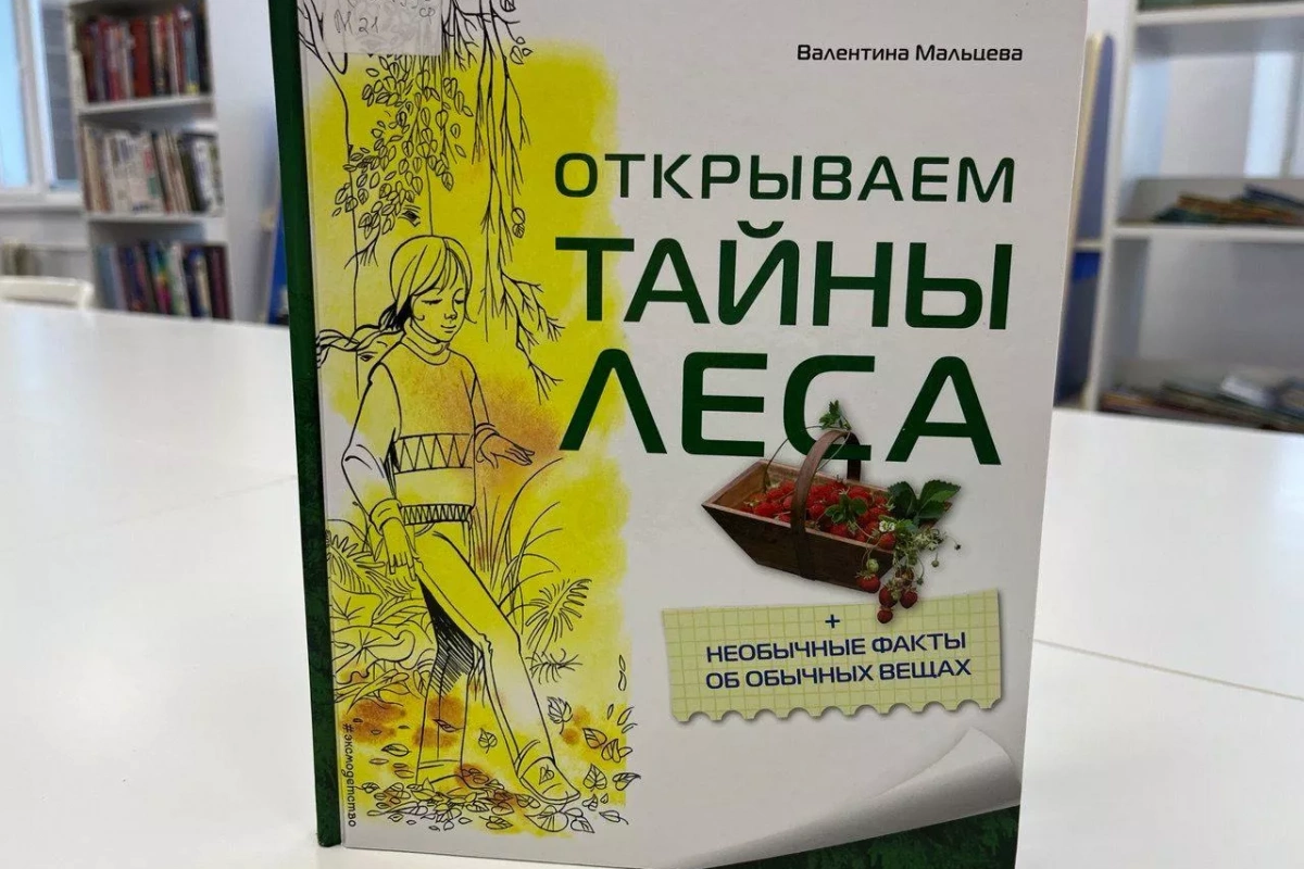 Экологический час «Лесные тайны леса: необычные факты об обычных вещах»