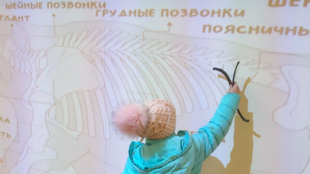Интерактивный практикум «Юный палеонтолог»