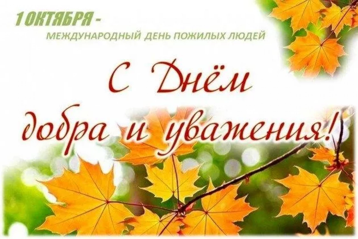 Международный день пожилых людей