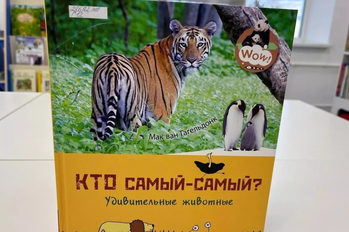 Познавательное мероприятие «Поле чудес»