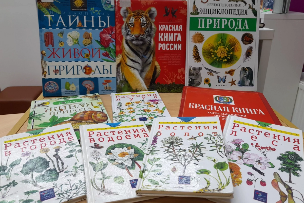 Экологический час «Мой друг - природа»