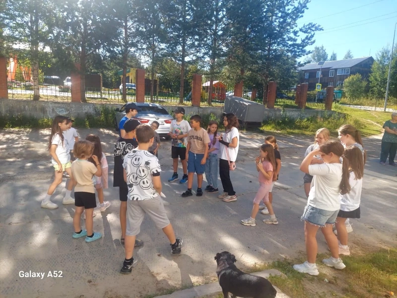 Яркие краски книжного лета