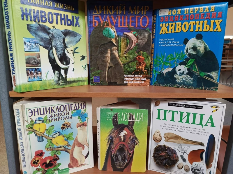 Книжная выставка «Они предлагают нам дружбу»