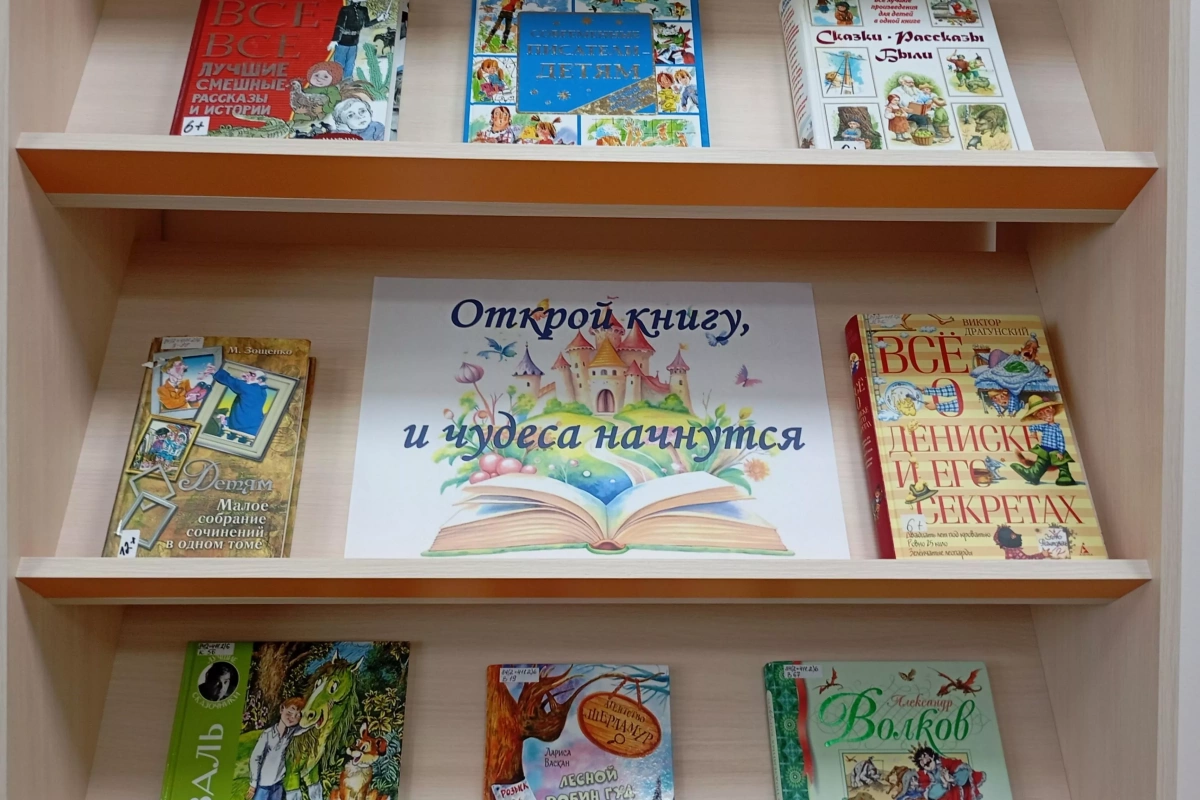 Литературно-игровая программа «В книжном царстве, библиотечном государстве»
