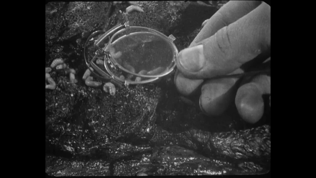 Броненосец «Потемкин»