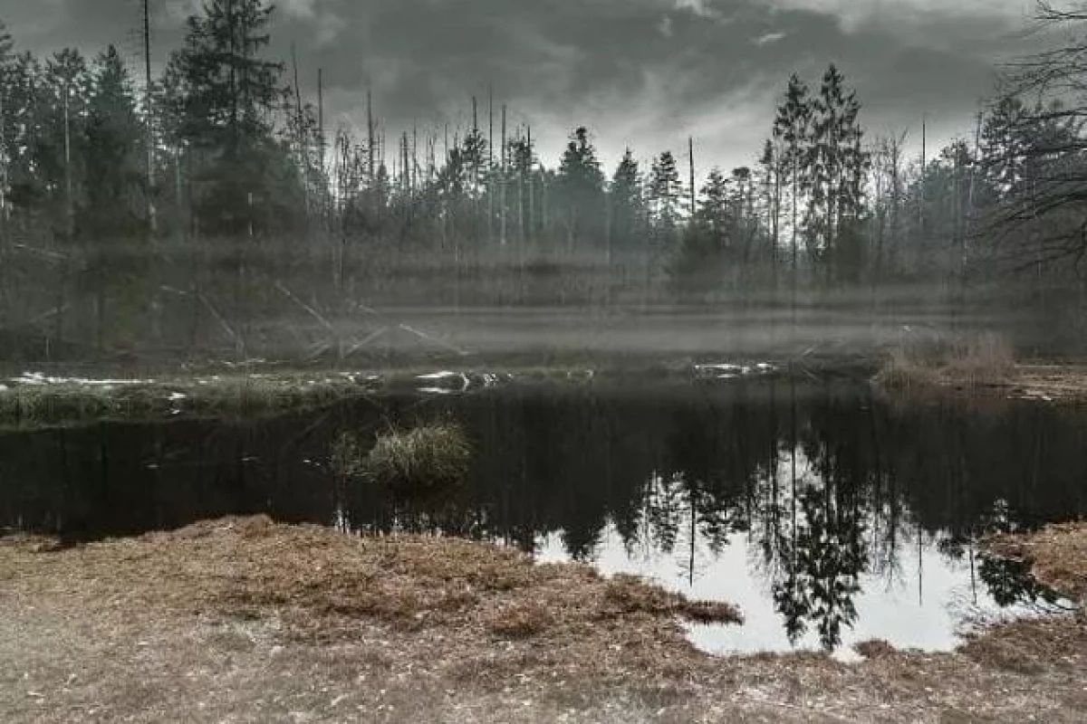 «Всемирный день водно-болотных угодий»