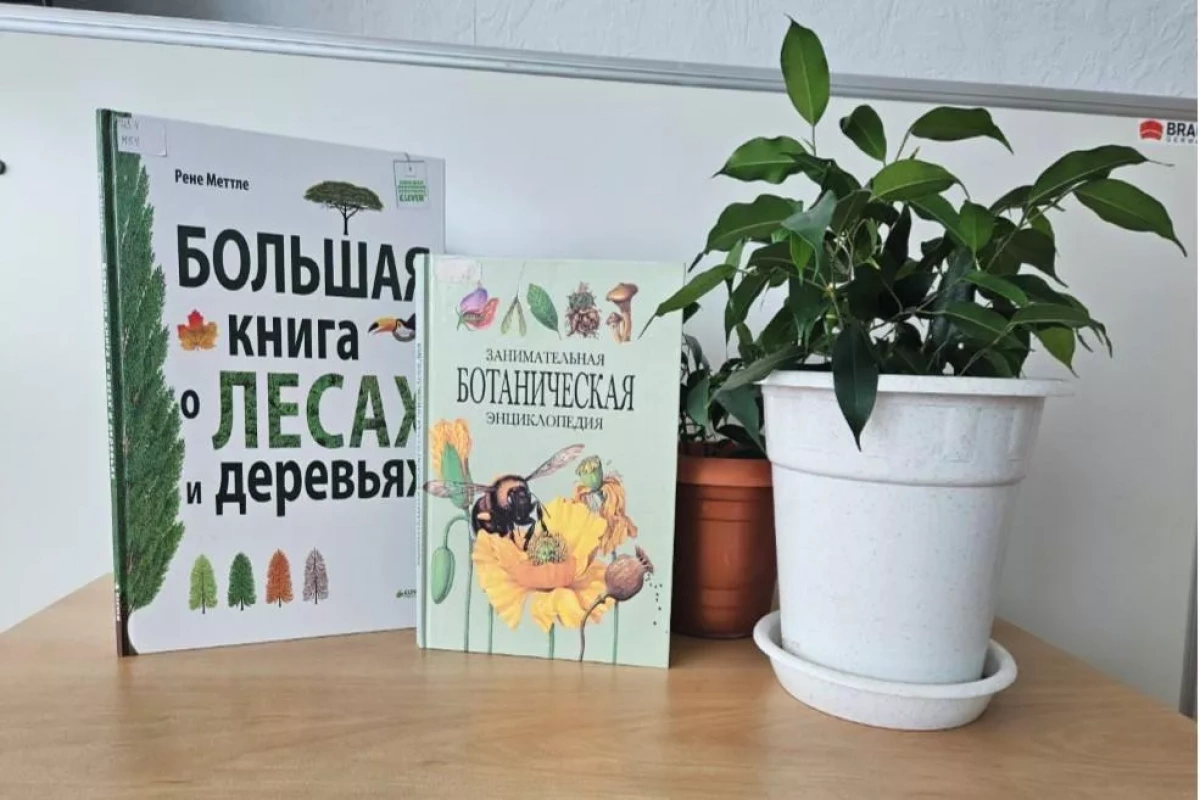 Квест «Загадочный мир леса»