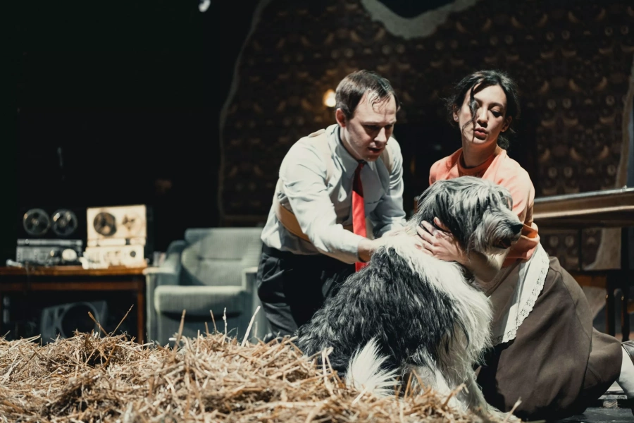 TheatreHD: Собачье сердце
