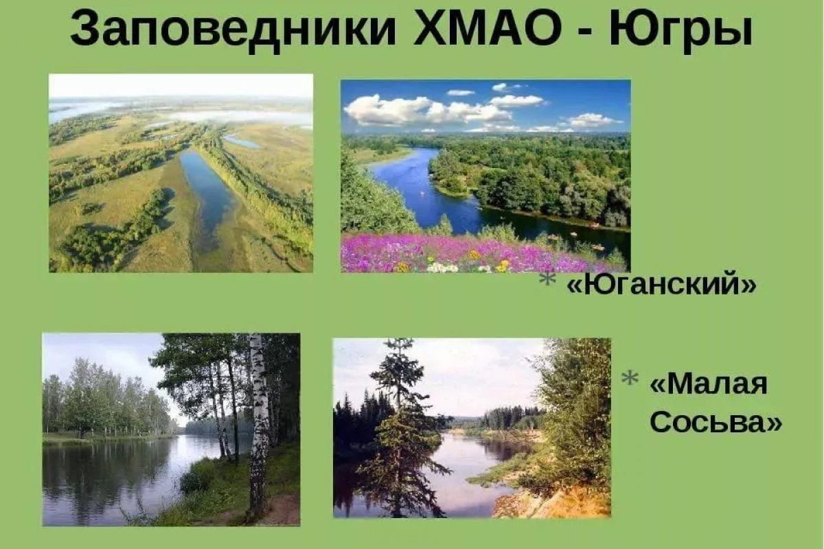 Заповедники ХМАО.