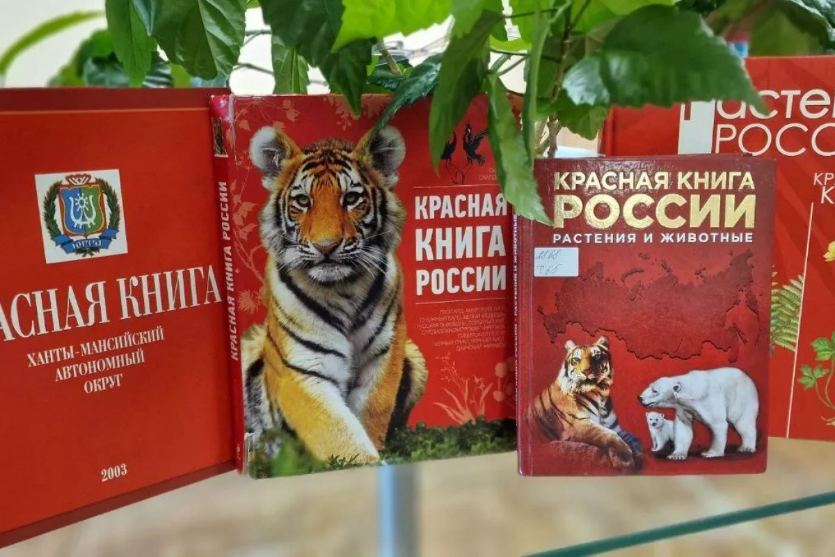 «Экологический бумеранг»: информ-час