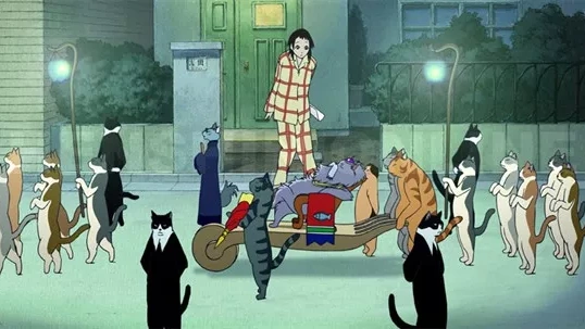 Возвращение кота
