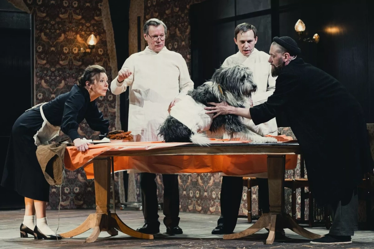 TheatreHD: Собачье сердце