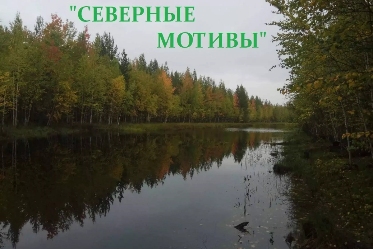 «Северные мотивы»