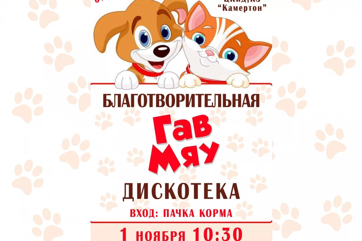 Благотворительная развлекательная программа «Мяу-гав-вечеринка!»