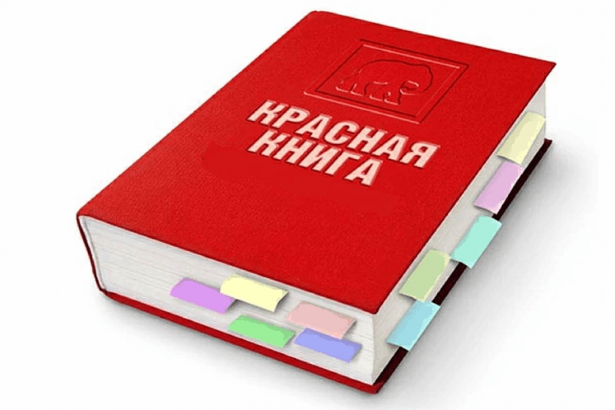 «По страницам красной книги»