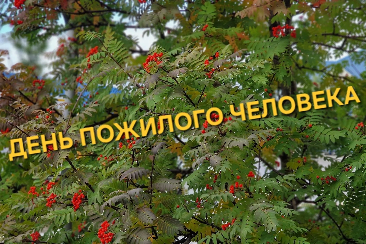 «От сердца к сердцу»: поздравительная акция