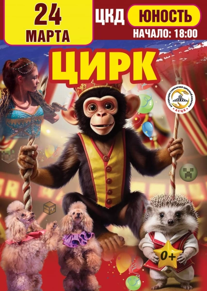 Цирковое шоу