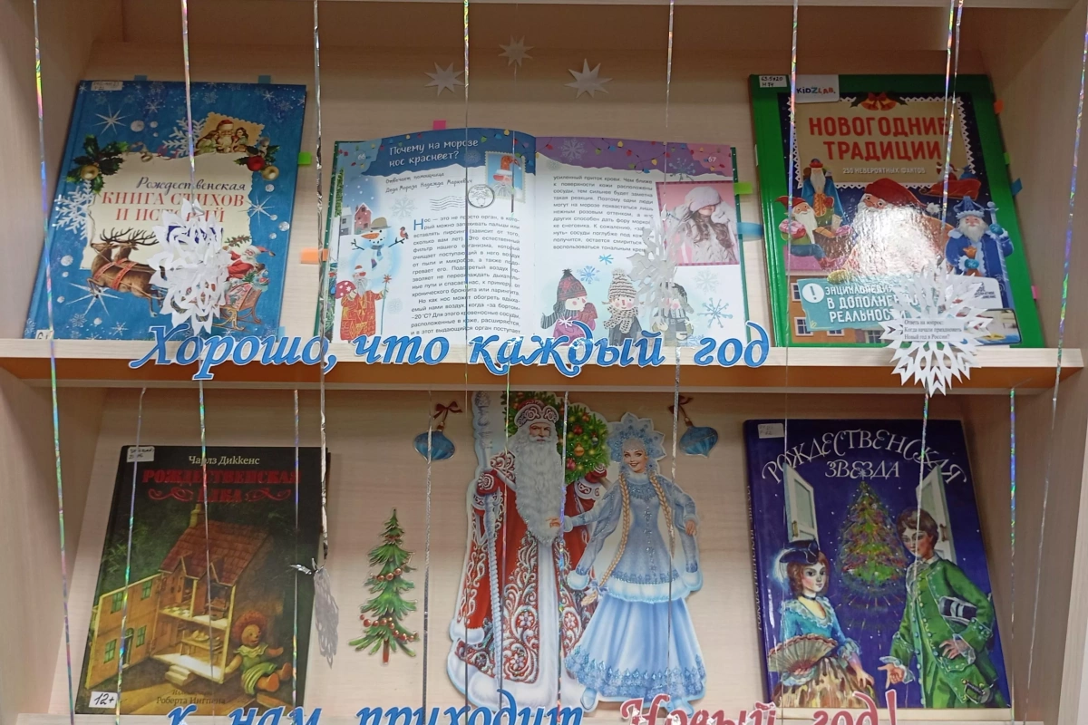 «Хорошо, что каждый год приходит Новый год!»