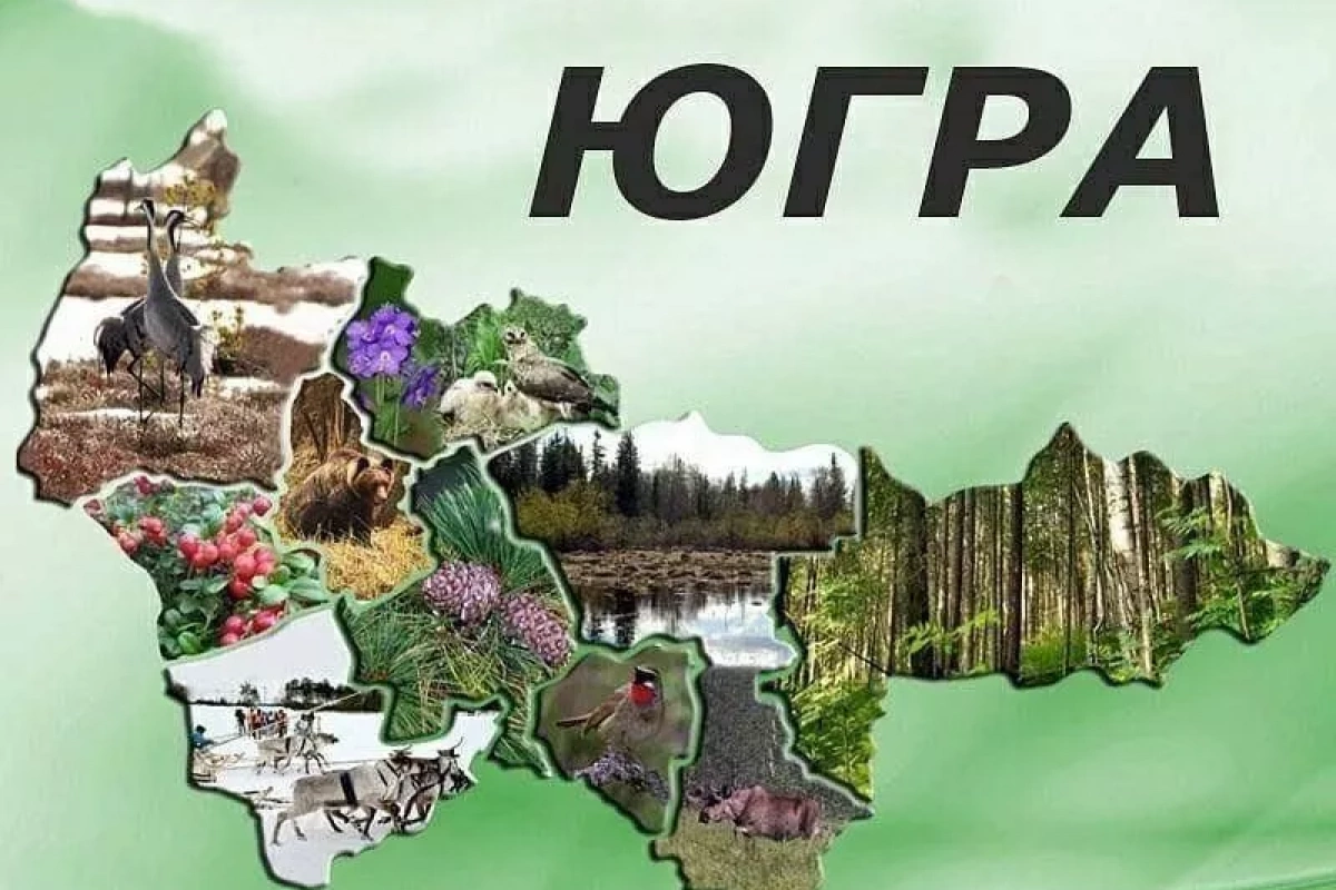 «Наш дом - Югра»