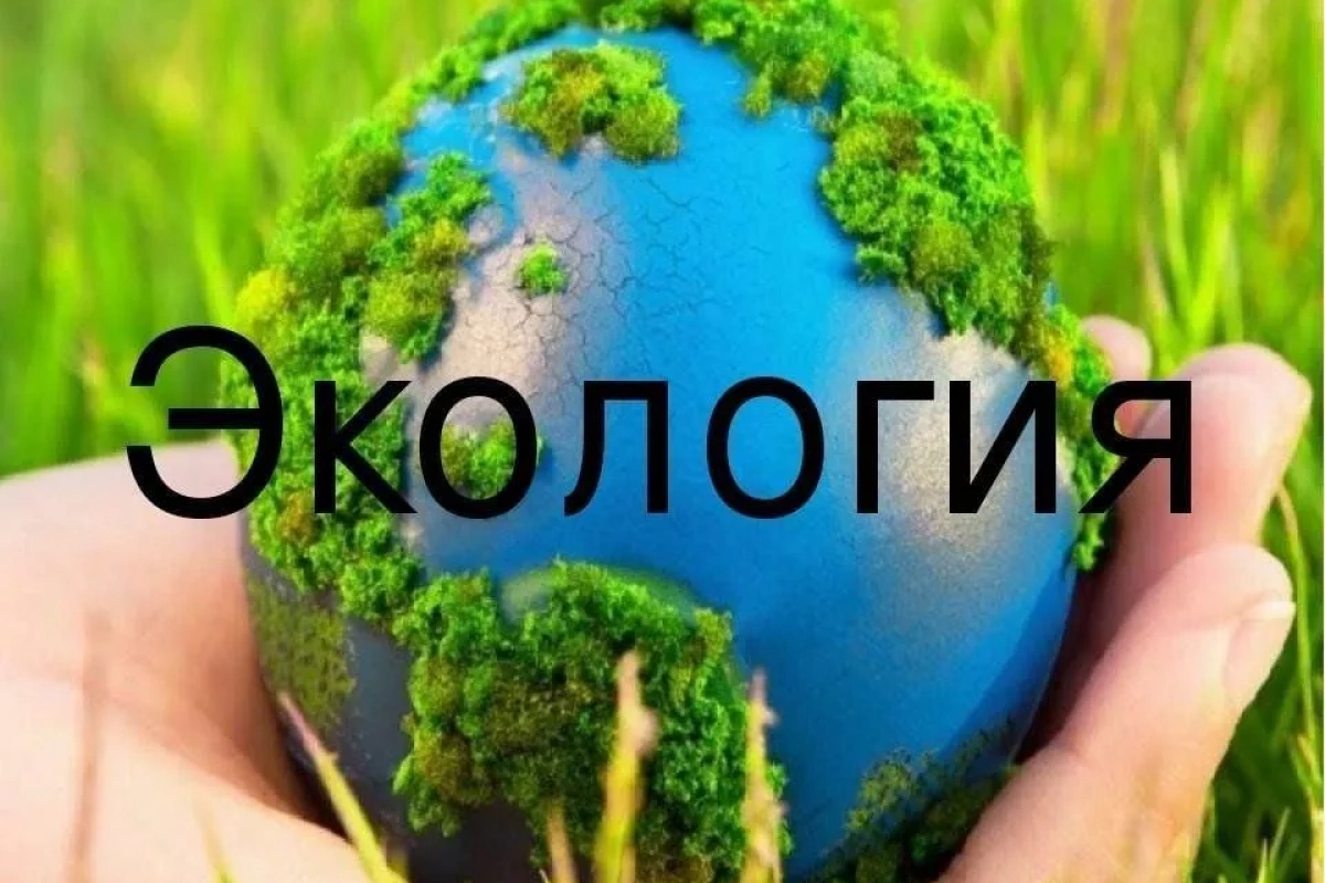 «Экология и мы» познавательная программа