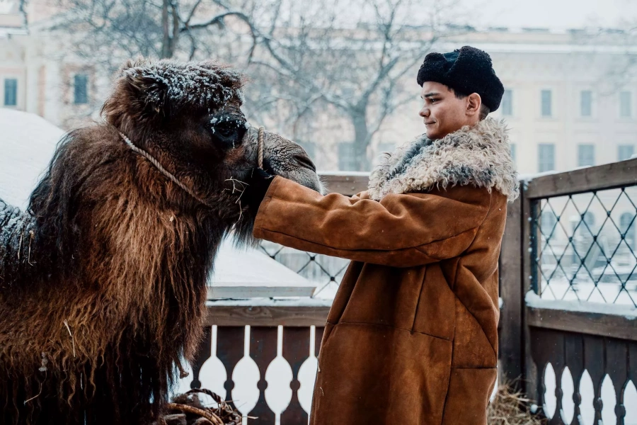Красавица
