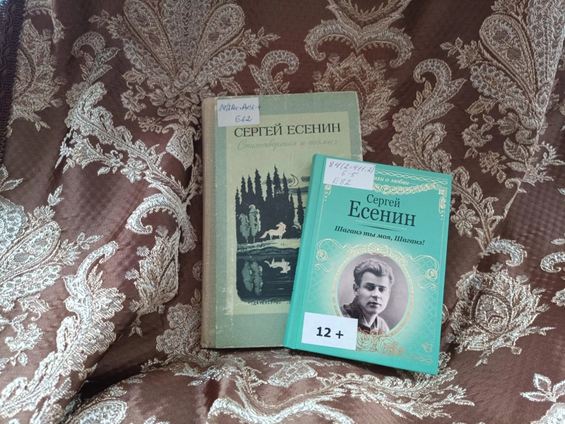 Литературно-музыкальный вечер «Я душу выплесну в слова...»