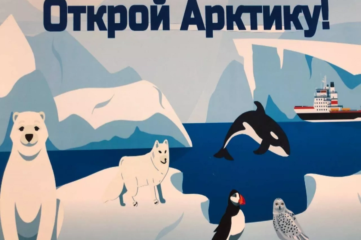 «Арктика–далёкая и близкая»: познавательное путешествие.