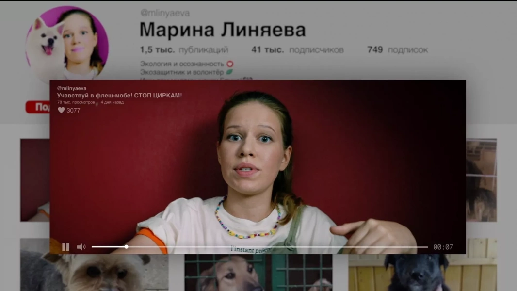 Хейтер