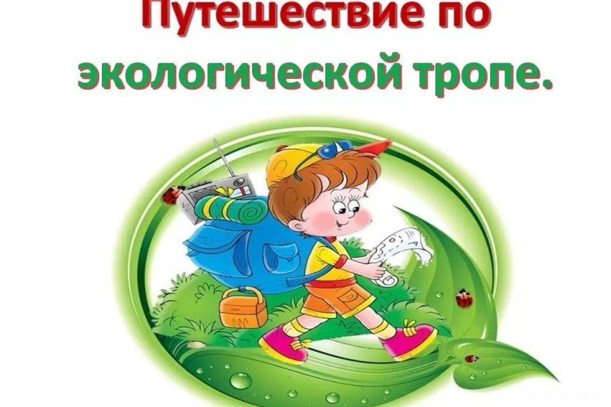 Экологическая игра–квест «тропа открытий»