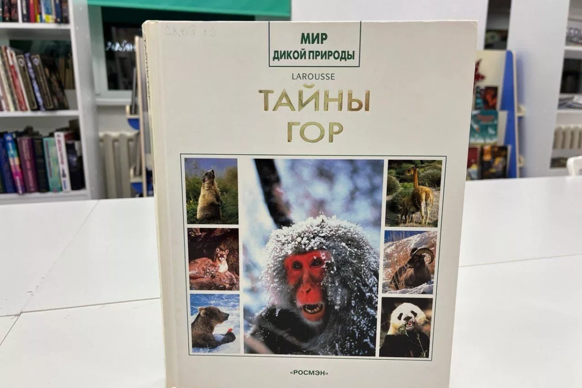 Экологическая викторина «Тайны гор»