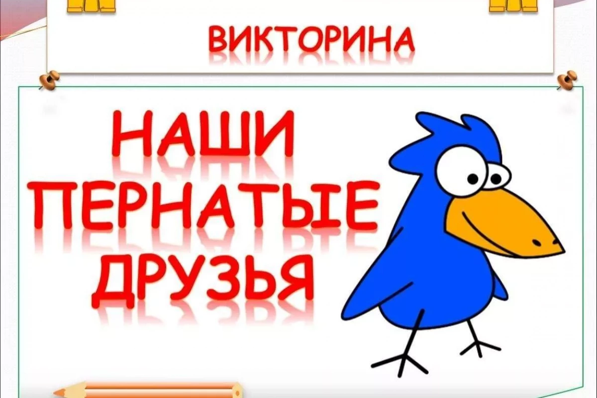 Экологическая викторина «В мире пернатых друзей»