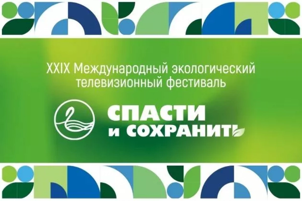 Полет гагары