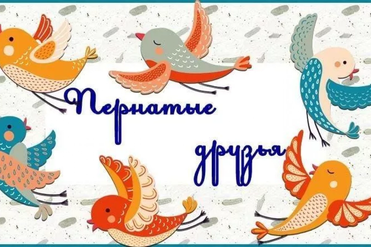 Пернатые друзья.