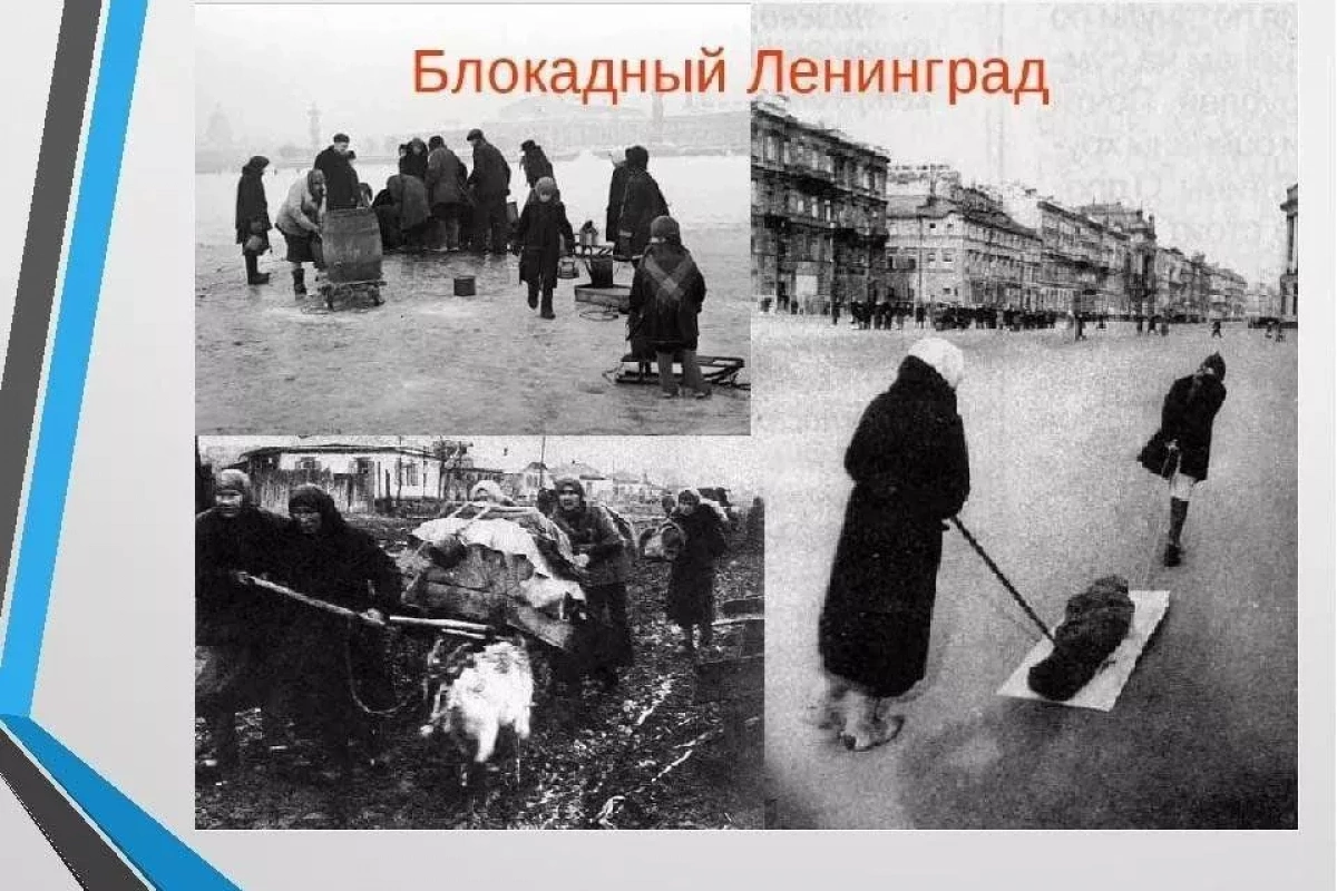 Мужество и стойкость Ленинграда.